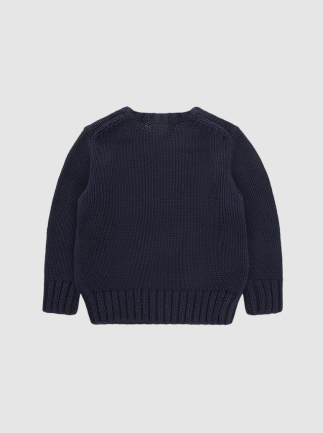 Knitwear Male Ralph Lauren Kids