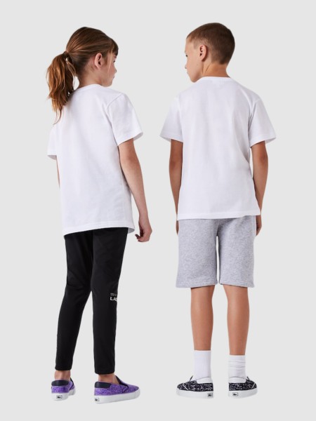 T-Shirt Male Lacoste T-Shirt Male Lacoste