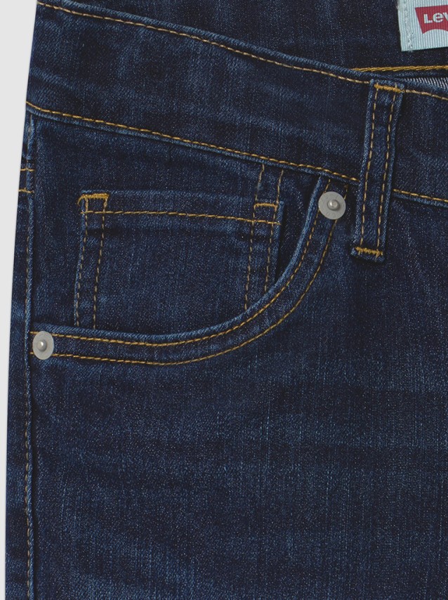 Pantalon Masculin Levis