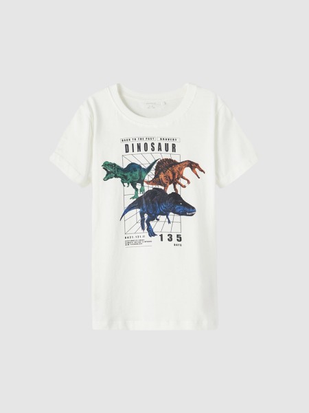 T-Shirt Masculin Name It