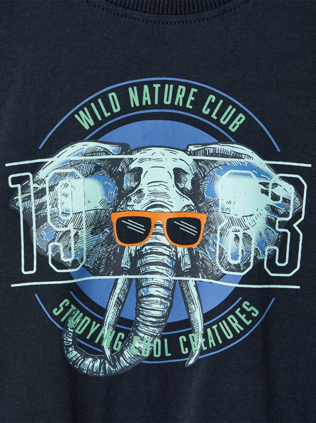 T-Shirt Menino Bert Name It