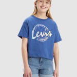 Camiseta Femenino Levis