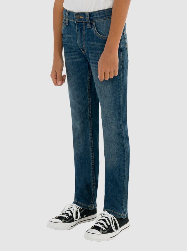 Pantalon Masculin Levis