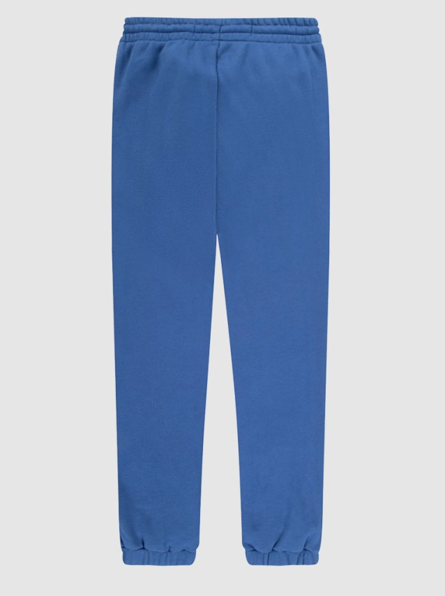 Trousers Male Levis