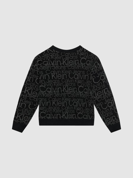 Jumper Male Calvin Klein