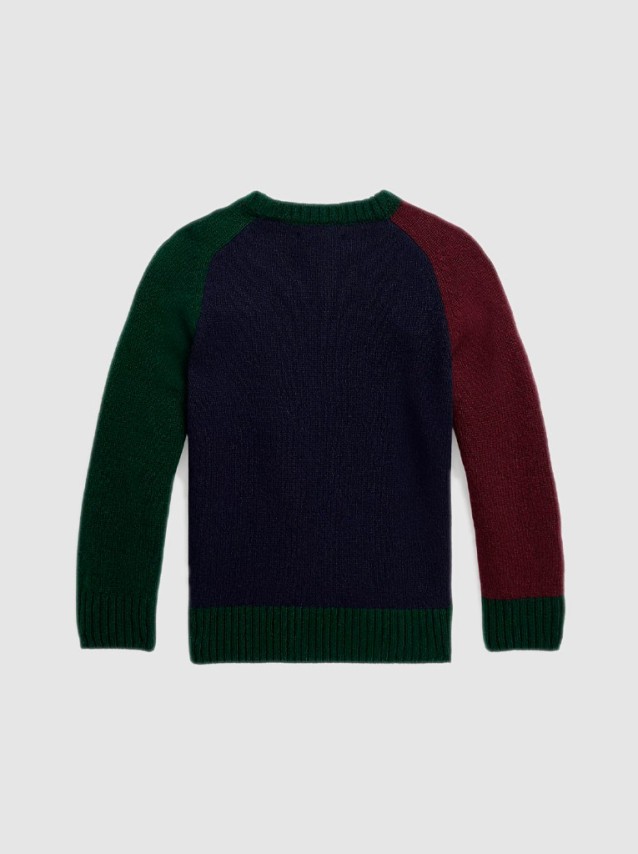 Jumper Male Ralph Lauren Kids