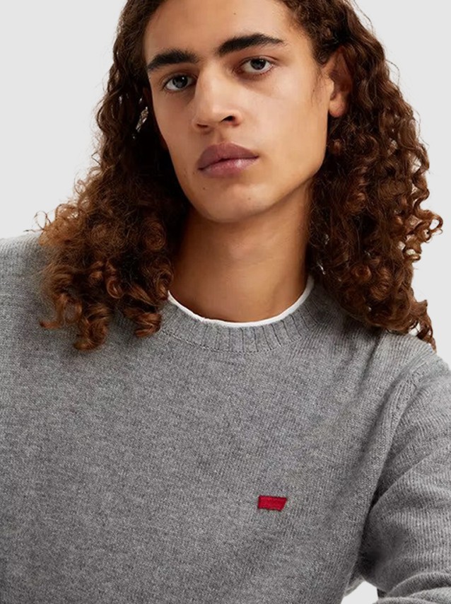 Sweatshirt Male Levis