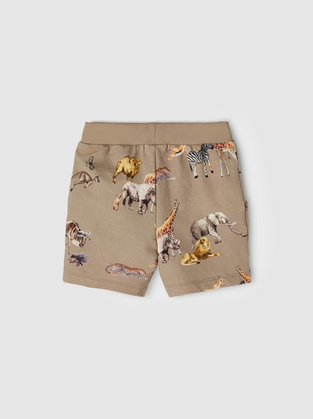 Cales Menino Name It