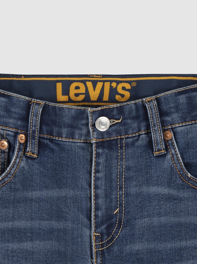 Pantalons Masculin Levis