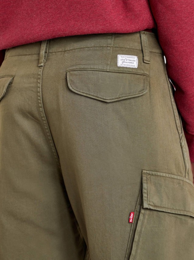 Trousers Male Levis