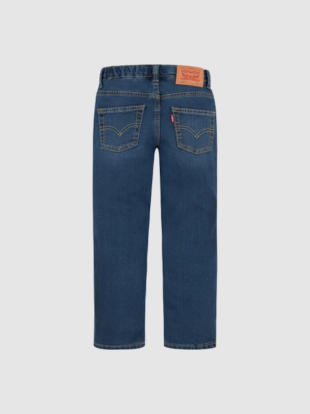 Pantalons Masculin Levis