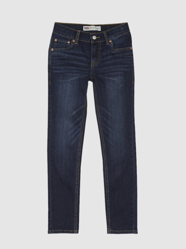 Pantalon Masculin Levis