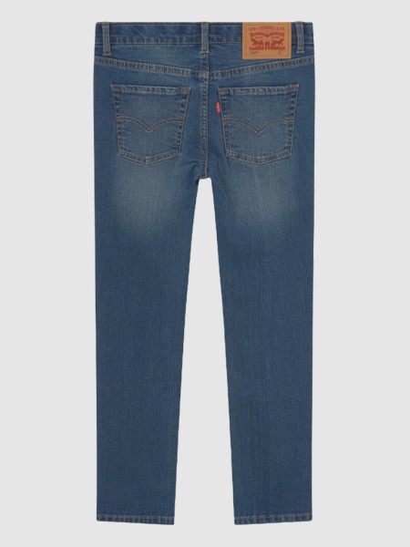 Pantalon Masculin Levis