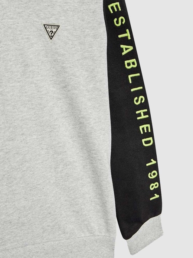 Sweatshirt Masculin Guess Kids