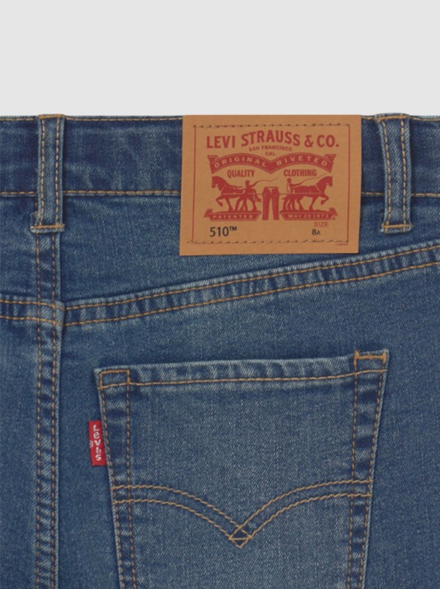 Pantalon Masculin Levis