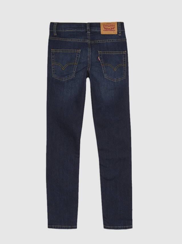 Pantalon Masculin Levis
