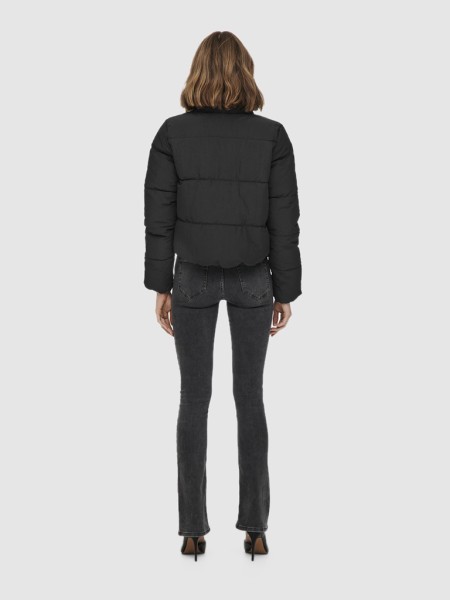 Jacket Female Only Jacket Female Only
