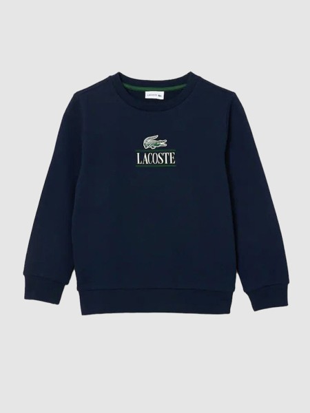 Pull-Over Masculin Lacoste