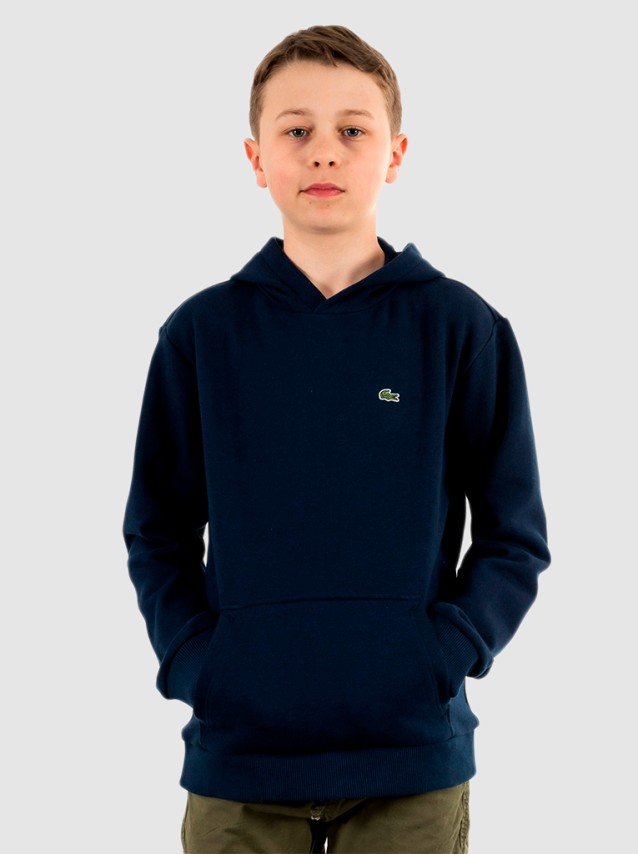 Pull-Over Masculin Lacoste