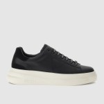Masculin Guess Activewear