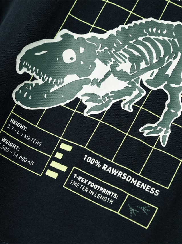 T-Shirt Masculin Name It