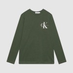 T-Shirt Masculin Calvin Klein