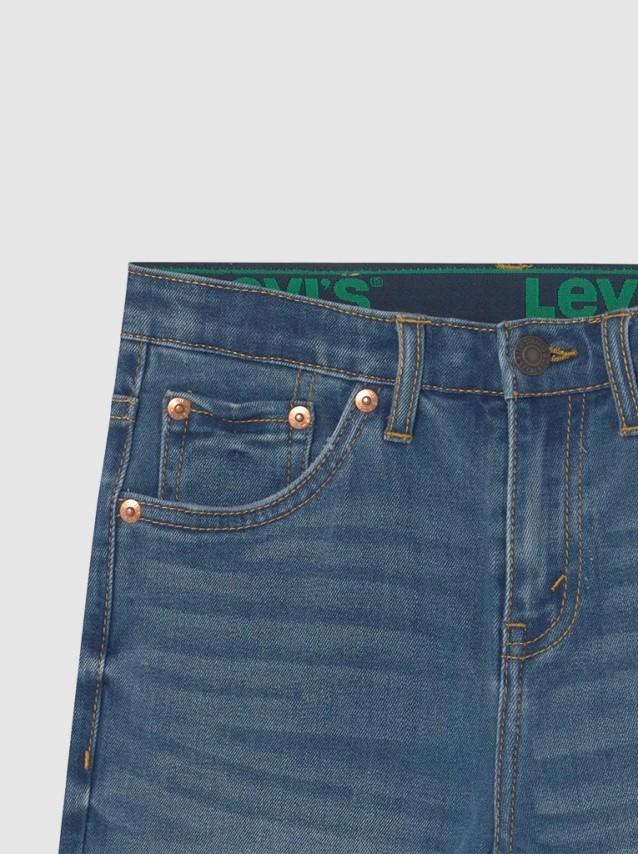 Shorts Masculin Levis