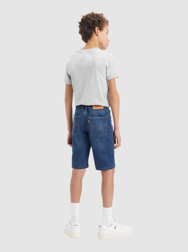 Shorts Male Levis