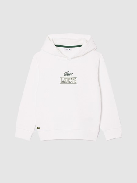 Pull-Over Masculin Lacoste