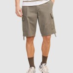 Shorts Male Jack & Jones