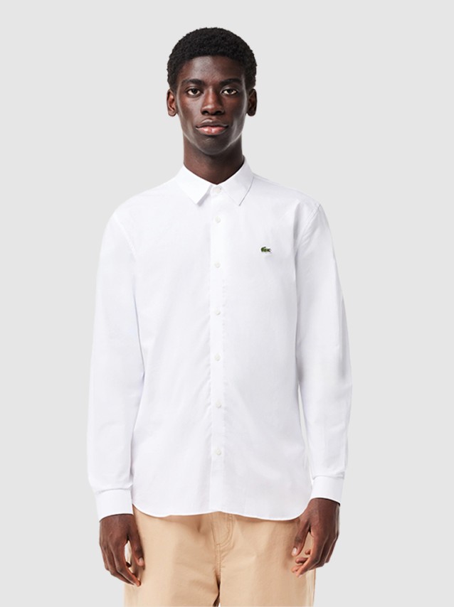 Camisas Masculino Lacoste