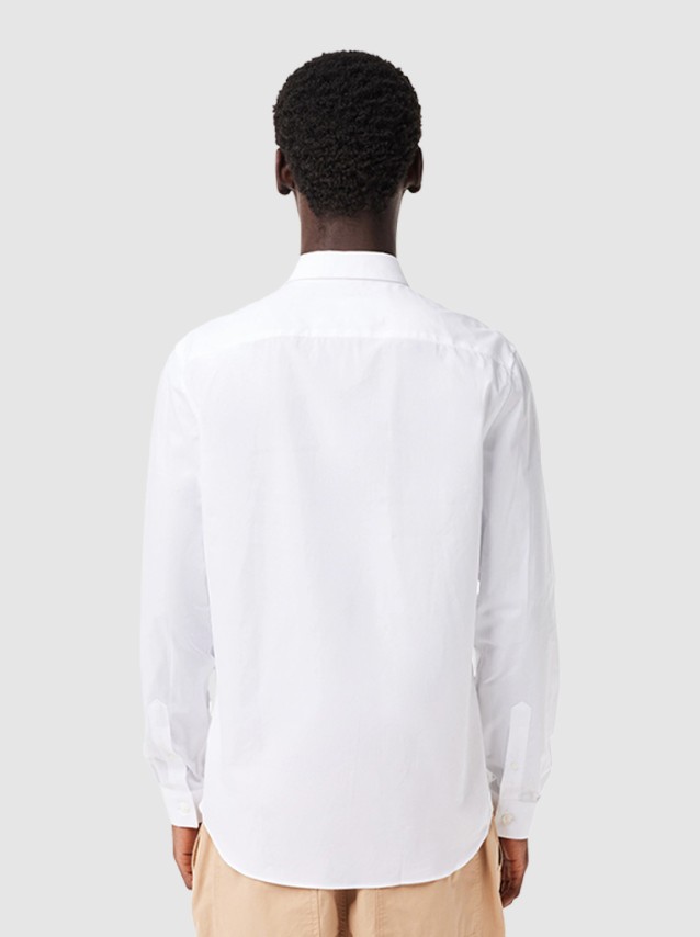 Camisas Masculino Lacoste