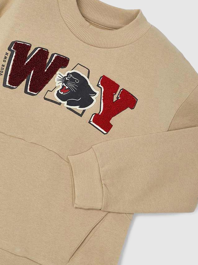 Jumper Masculin Mayoral