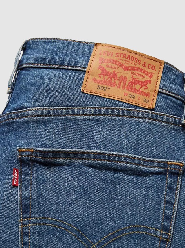 Trousers Male Levis