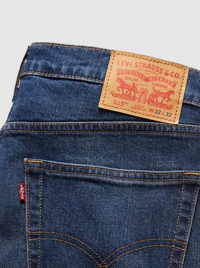 Trousers Male Levis