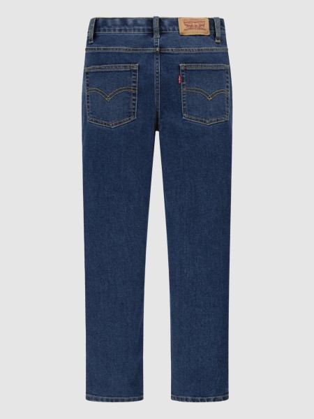 Pantalon Masculin Levis