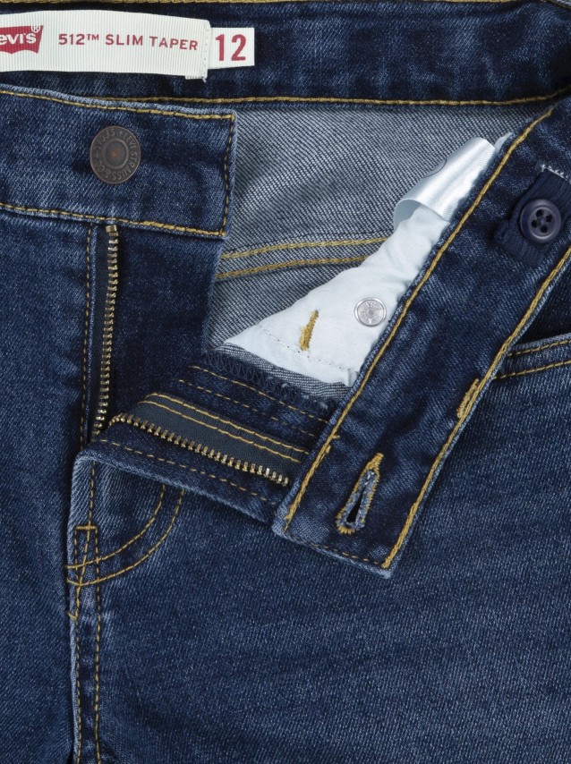 Pantalon Masculin Levis