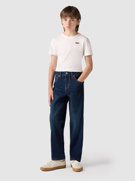 Pantalon Masculin Levis