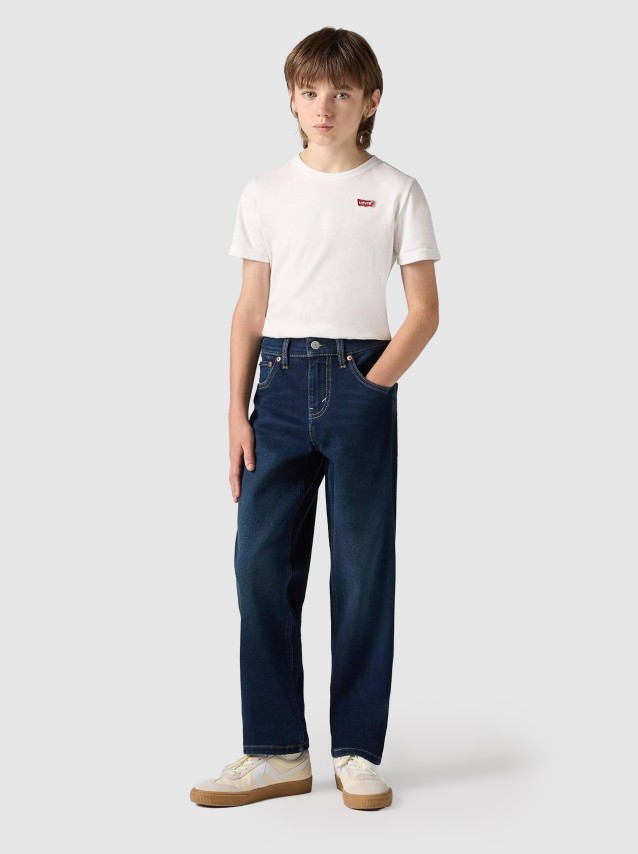 Trousers Male Levis