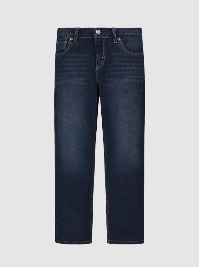 Pantalon Masculin Levis