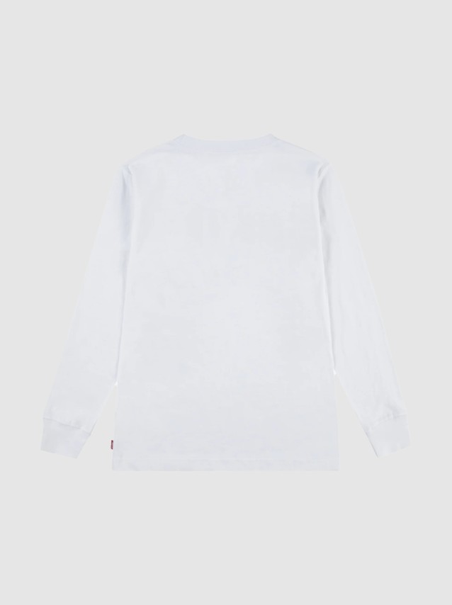 Shirts Male Levis