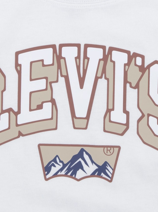 Camisas Masculino Levis