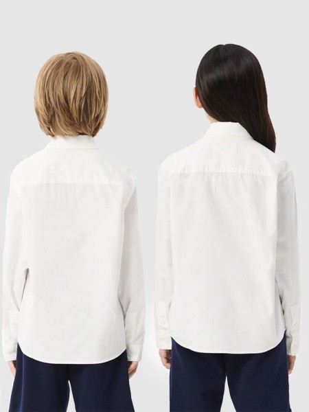 Shirt Male Lacoste Shirt Male Lacoste