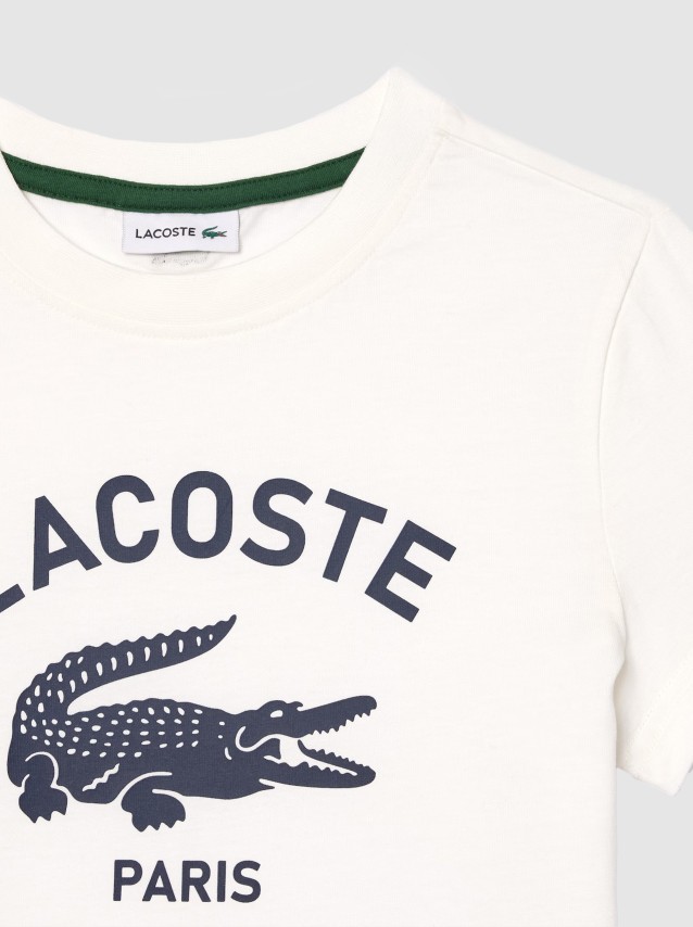 Camiseta Masculino Lacoste