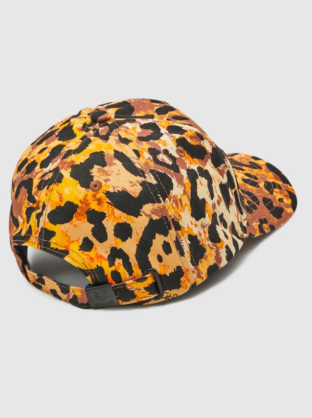 Female Just Cavalli