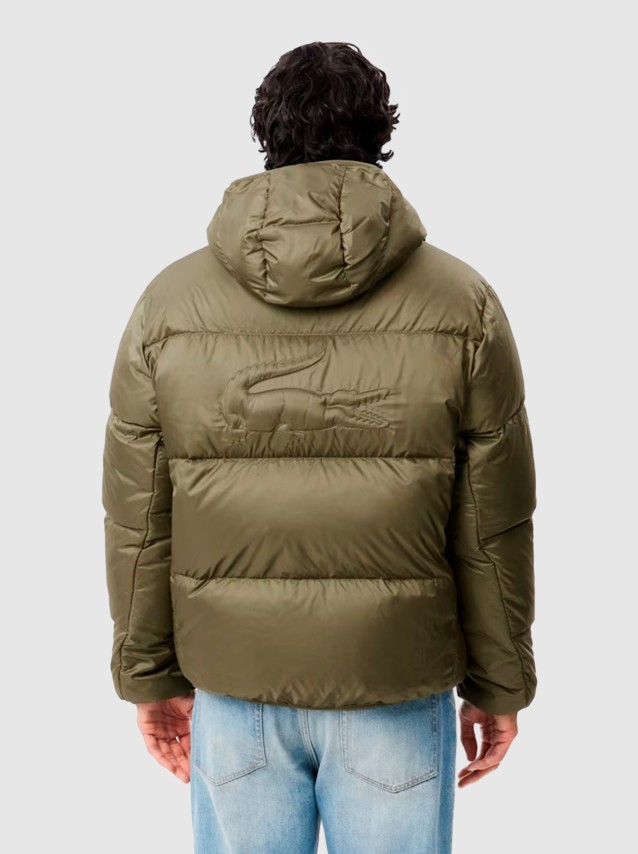 Chaqueta Masculino Lacoste
