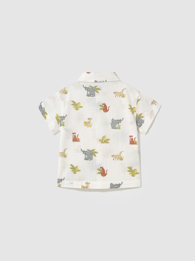 Chemises Masculin Mayoral