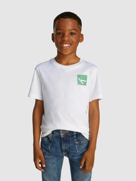 T-Shirt Masculin Calvin Klein