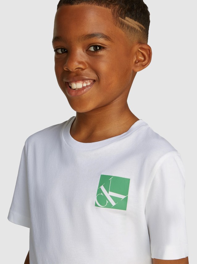 Camiseta Masculino Calvin Klein