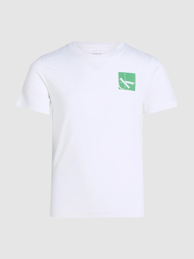 Camiseta Masculino Calvin Klein